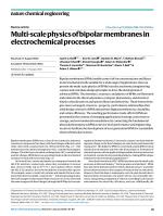 Multi-scale physics of bipolar membranes in electrochemical processes