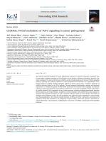 CircRNAs: Pivotal modulators of TGF-β signalling in cancer pathogenesis
