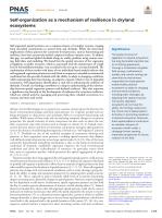 Self-organization as a mechanism of resilience in dryland ecosystems