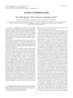 The EPS Matrix: The “House of Biofilm Cells”