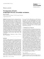 Developmental cell death: morphological diversity and multiple mechanisms