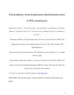 Extraordinary room-temperature photoluminescence in WS2 monolayers