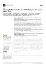Targeting PI3K/AKT/mTOR and MAPK Signaling Pathways in Gastric Cancer
