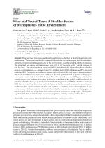Wear and Tear of Tyres: A Stealthy Source of Microplastics in the Environment