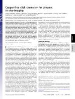 Copper-free click chemistry for dynamic in vivo imaging