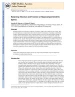 Balancing Structure and Function at Hippocampal Dendritic Spines