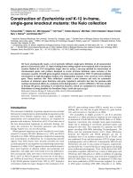 Construction of Escherichia coli K-12 in-frame, single-gene knockout mutants: the Keio collection