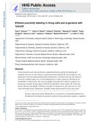 Efficient proximity labeling in living cells and organisms with TurboID