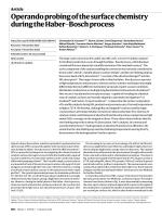 Operando probing of the surface chemistry during the Haber–Bosch process