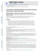 Clinical-grade computational pathology using weakly supervised deep learning on whole slide images
