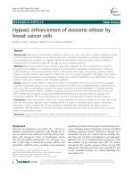 Hypoxic enhancement of exosome release by breast cancer cells