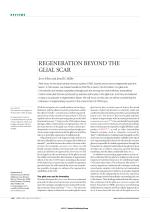 REGENERATION BEYOND THE GLIAL SCAR