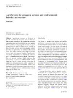 Agroforestry for ecosystem services and environmental benefits: an overview
