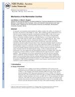 Mechanics of the Mammalian Cochlea