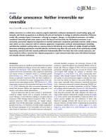 Cellular senescence: Neither irreversible nor reversible