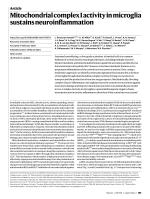 Mitochondrial complex I activity in microglia sustains neuroinflammation