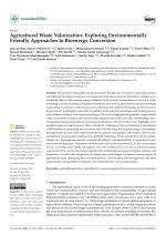 Agricultural Waste Valorization: Exploring Environmentally Friendly Approaches to Bioenergy Conversion