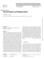 Wound Repair and Regeneration