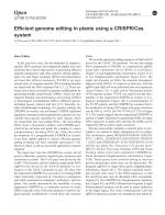 Efficient genome editing in plants using a CRISPR/Cas system