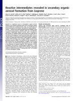 Reactive intermediates revealed in secondary organic aerosol formation from isoprene