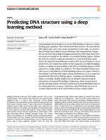 Predicting DNA structure using a deep learning method