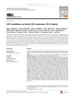 EAU Guidelines on Renal Cell Carcinoma: 2014 Update