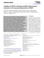 Inhibition of METTL3 Alleviates NLRP3 Inflammasome Activation via Increasing Ubiquitination of NEK7