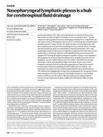 Nasopharyngeal lymphatic plexus is a hub for cerebrospinal fluid drainage