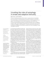 Unveiling the roles of autophagy in innate and adaptive immunity