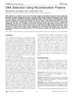 DNA Detection Using Recombination Proteins