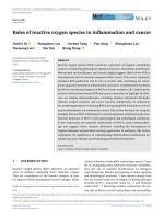Roles of reactive oxygen species in inflammation and cancer