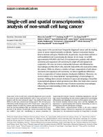 Single-cell and spatial transcriptomics analysis of non-small cell lung cancer