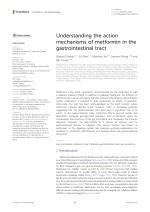 Understanding the action mechanisms of metformin in the gastrointestinal tract