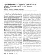 Functional analysis of oxidative stress-activated mitogen-activated protein kinase cascade in plants