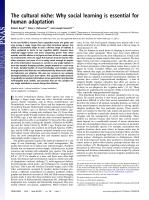 The cultural niche: Why social learning is essential for human adaptation