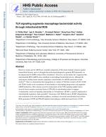 TLR signaling augments macrophage bactericidal activity through mitochondrial ROS
