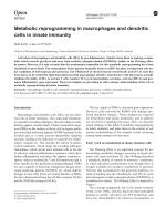 Metabolic reprogramming in macrophages and dendritic cells in innate immunity