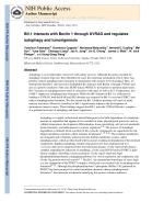 Bif-1 interacts with Beclin 1 through UVRAG and regulates autophagy and tumorigenesis