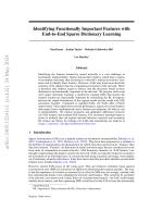 Identifying Functionally Important Features with End-to-End Sparse Dictionary Learning