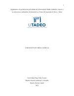 Seguimiento a la gestión de las actividades de la Secretaría de Medio Ambiente, respecto a las afectaciones ambientales del humedal Los Colores del municipio de Neiva – Huila