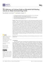 The Efficiency of Calcium Oxide on Microbial Self-Healing Activity in Alkali-Activated Slag (AAS)