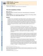The neuro-symphony of stress