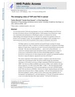 The emerging roles of YAP and TAZ in cancer