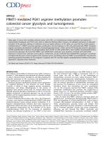 PRMT1-mediated PGK1 arginine methylation promotes colorectal cancer glycolysis and tumorigenesis