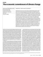 The economic commitment of climate change