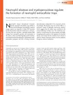 Neutrophil elastase and myeloperoxidase regulate the formation of neutrophil extracellular traps
