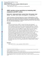 AMPK regulates energy expenditure by modulating NAD+ metabolism and SIRT1 activity