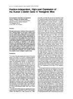 Position-Independent, High-Level Expression of the Human β-Globin Gene in Transgenic Mice