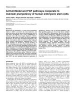 Activin/Nodal and FGF pathways cooperate to maintain pluripotency of human embryonic stem cells
