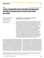 Cost-competitive decentralized ammonia fertilizer production can increase food security
